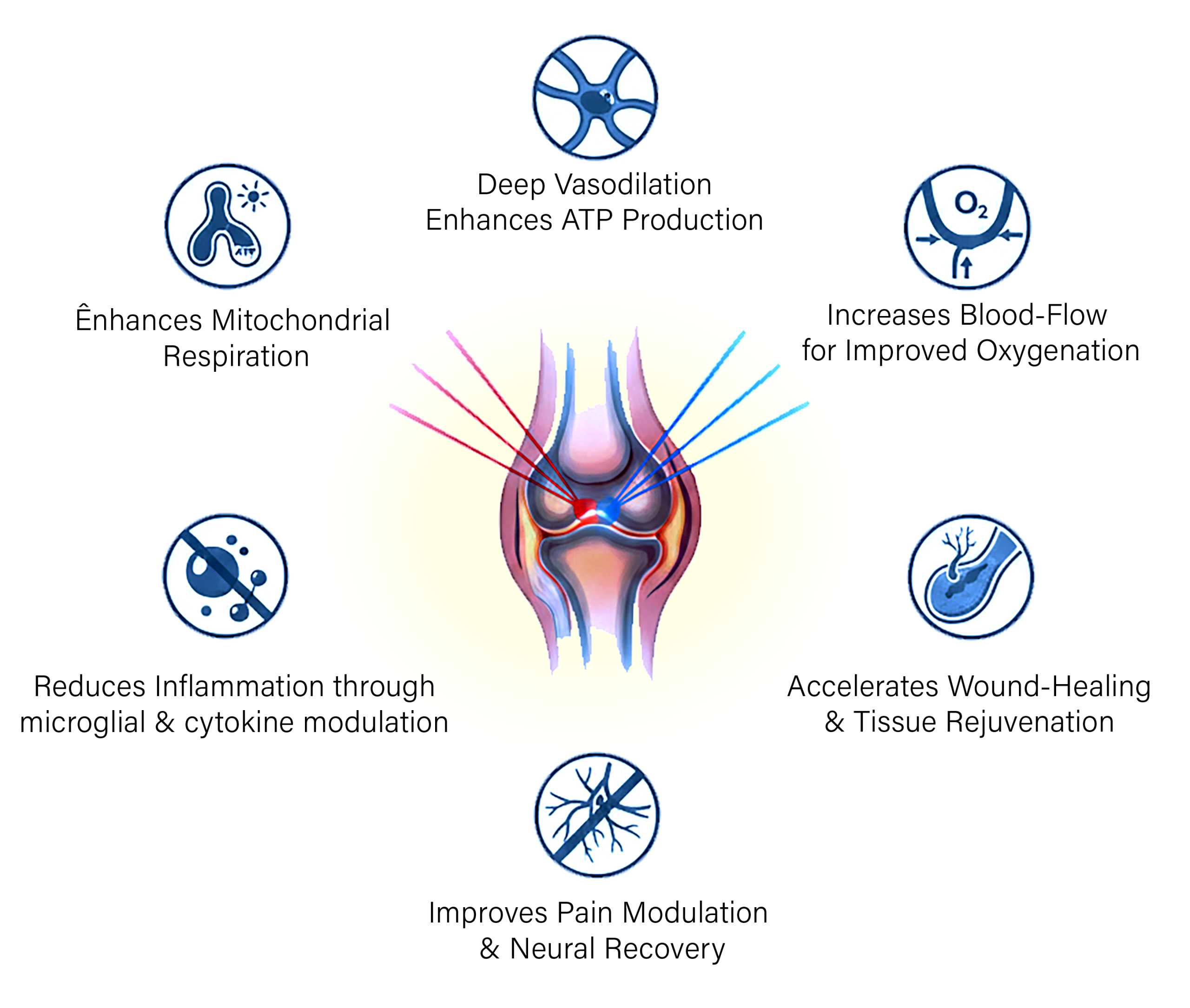 display graphic for ATP Production in Advanced PBM with Pulsed Light Medical Technology
